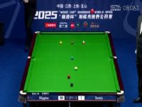 ˹ŵ����ɽ���繫��������� ���ˡ������5-6Լ����ϣ��˹  20250228