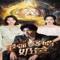 ��ǿ׸���̰�