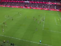 ����  �����ɴ�vs������ 20230918