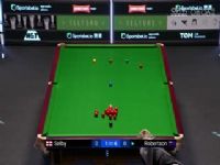 ˹ŵ����Ա�������ķ�֮һ���� ������޲�ѷ vs ���ˡ������� 20250322