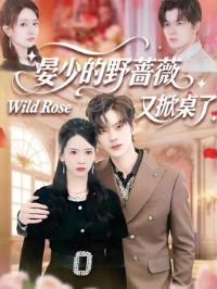 ���ٵ�ҰǾޱ��������