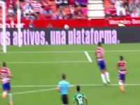 �������� �����ɴ�VS�������� 20240428