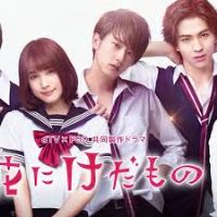 ����Ұ�� ��һ��