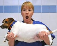 �ʳ���ȼ��ʴ�����һ��