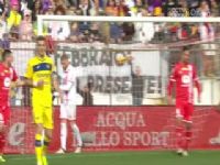 ��� ����vsά���� (����) 20240211