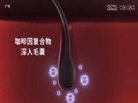 Ӣ�� �ж���vs��ɭ�� (ղ������·��������) 20231021