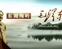 ����÷��ë��