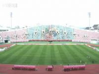 �м����� �ӱ�����VS���ݶ��� 20250601