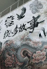 ���˶��������