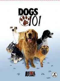 ����ȫ��¼��һ��