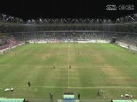 �������� ������������VSȪ������ 20241006