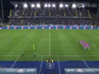 ������� ������VSά���� 20250526