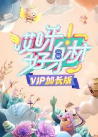 ��ѽ������VIP�ӳ���