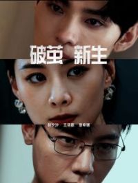 �Ƽ�����