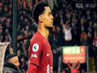 �������� �������VS��ͨ�������Ե 20240817