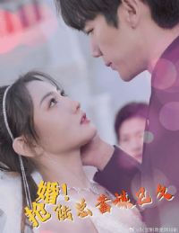 ���飡½����ı�Ѿ�