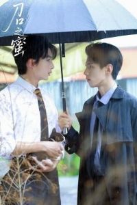 ����֮��