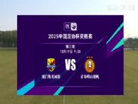 ��Э���ʸ��� ���ż�������VS�ൺ��ɽ�۷� 20241219