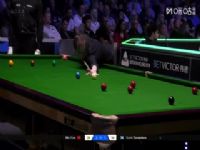 2025˹ŵ�˱�������������64��32 ������4-3˹���ء�����ɭ 20251019